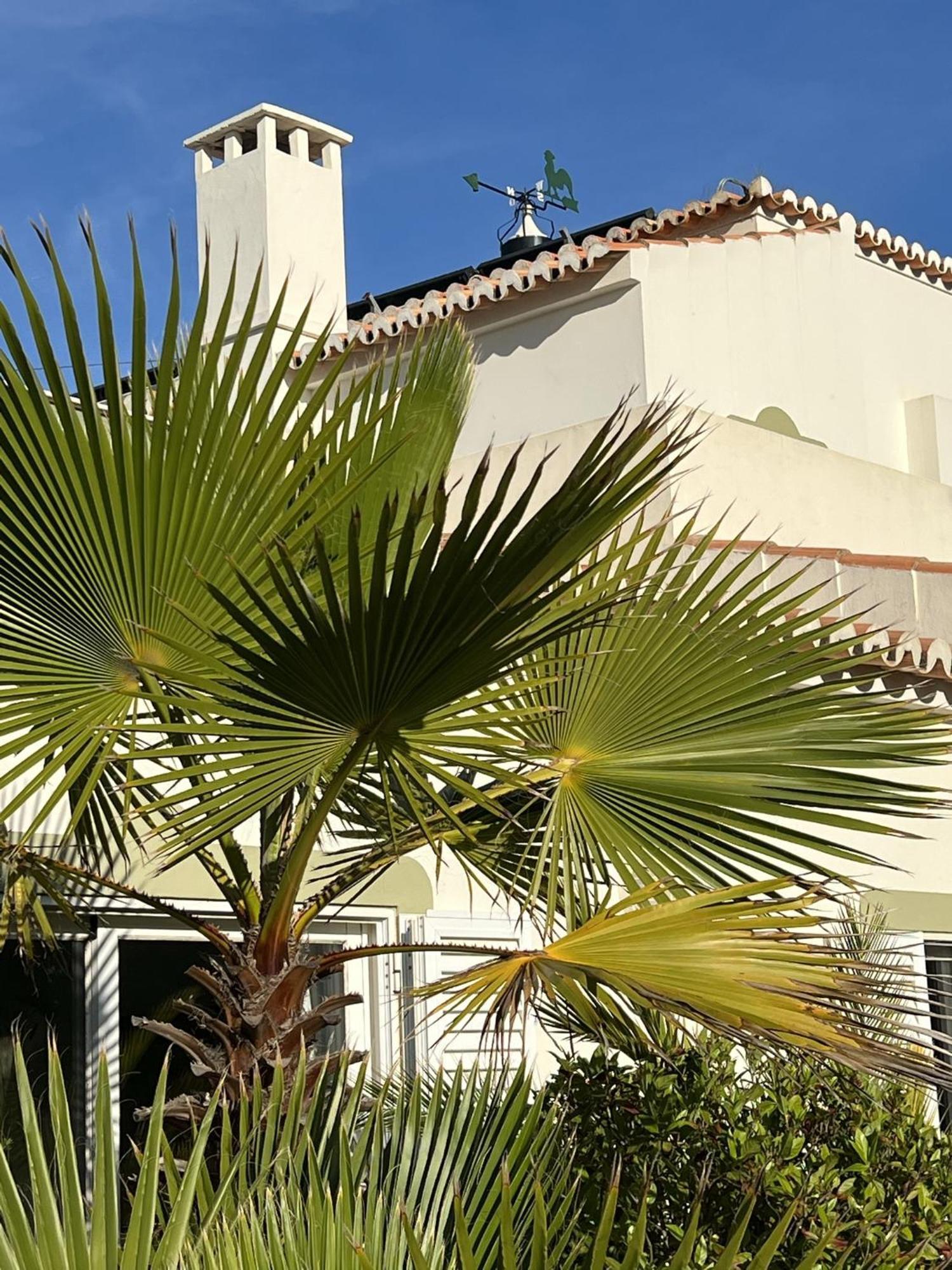 233 Casa Galo Verde Apartments Porches  Exterior photo